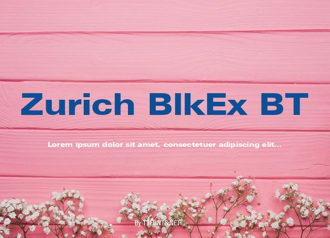 Zurich BlkEx BT example